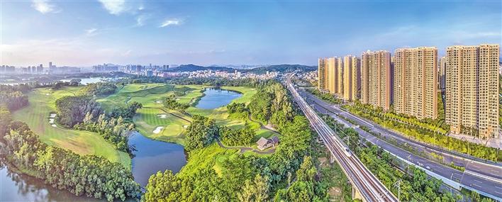 8661754.jpg 8661754.jpg